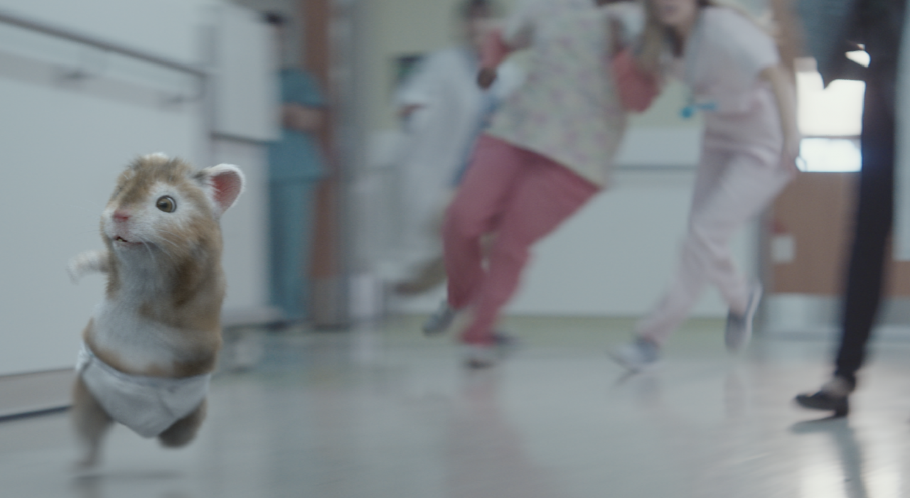 Ad of the Day: Kia uses speedy baby hamster to turbocharge new Soul campaign