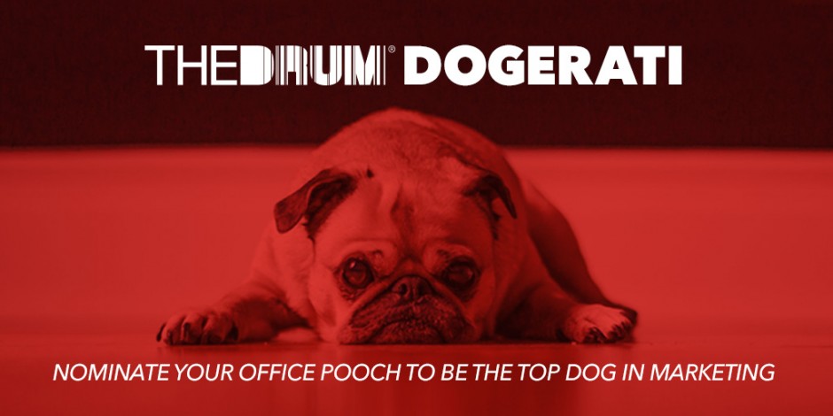 Is your office pooch the top dog in marketing? Enter The Drum's Dogerati to celebrate National Dog Day