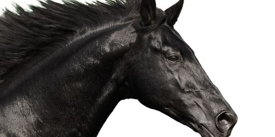 Lloyds Banking Group Databass The Drum