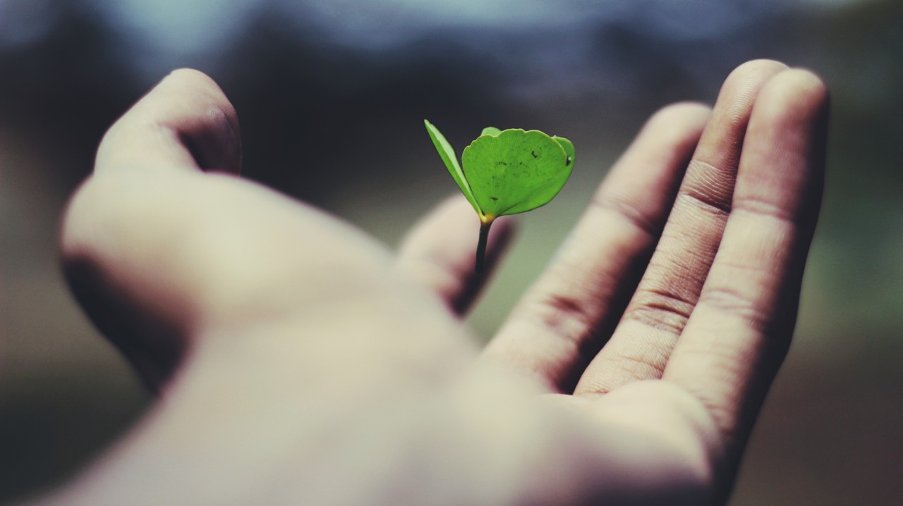 The Drum Network Podcast: the golden age of growth marketing - Vimarsana News