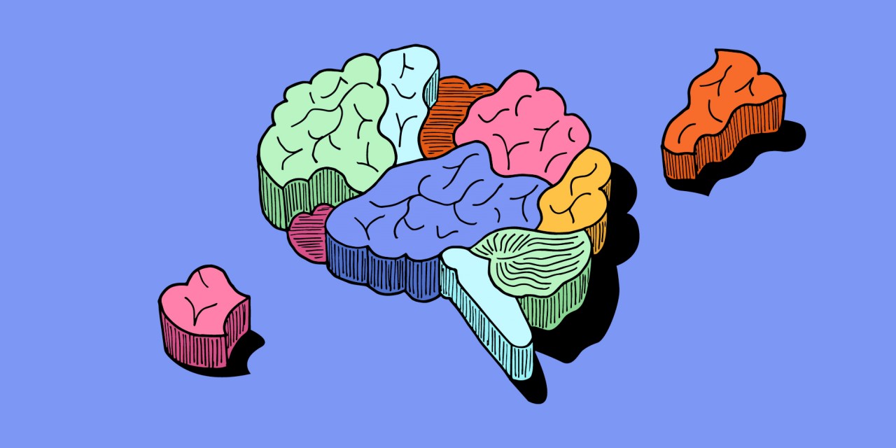 The Psychologist's Guide: How To Spot The Influencers Who Are Actually Influential - Vimarsana News