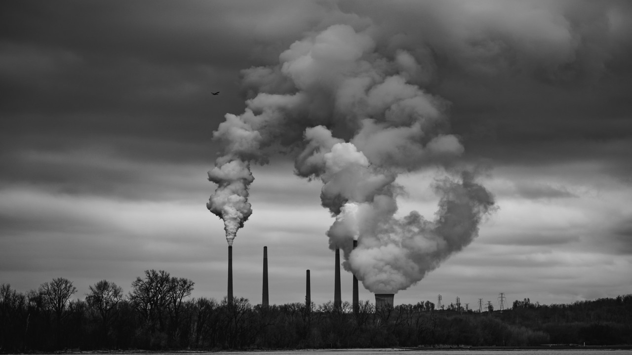 'Take Responsibility For Your Clients': UN Backs Crackdown On Adland's Climate Impact - Vimarsana News