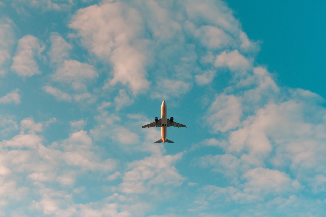 What Does Travel's Return Voyage Look Like? - Vimarsana News
